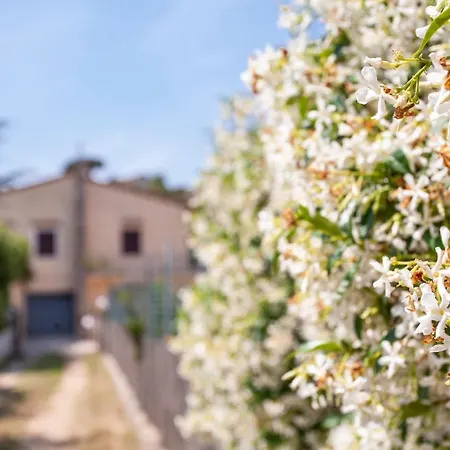 Capo Bianco - Goelba Holiday home Portoferraio